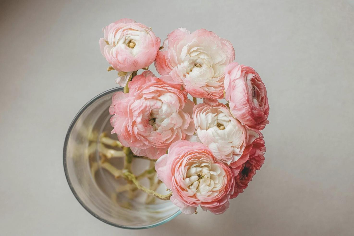 Students collaborating on game development projects in learning environment