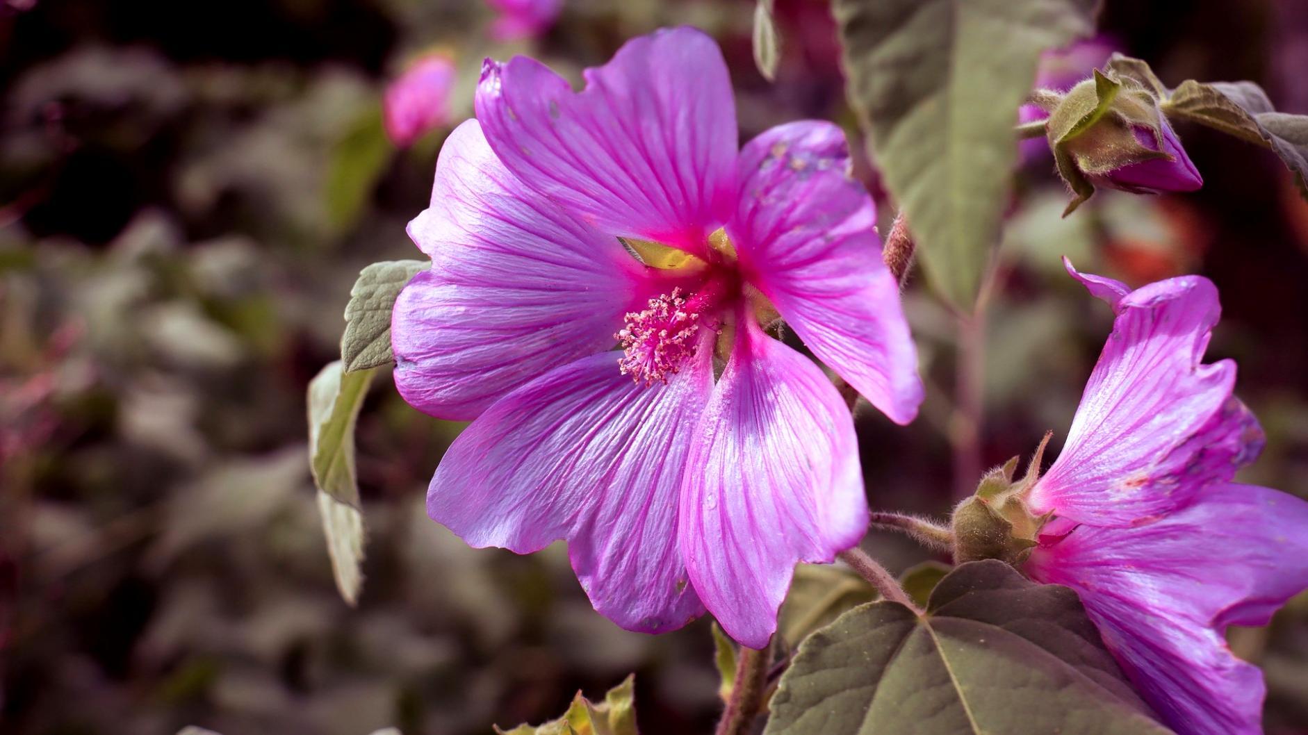 Collaborative business strategy development session