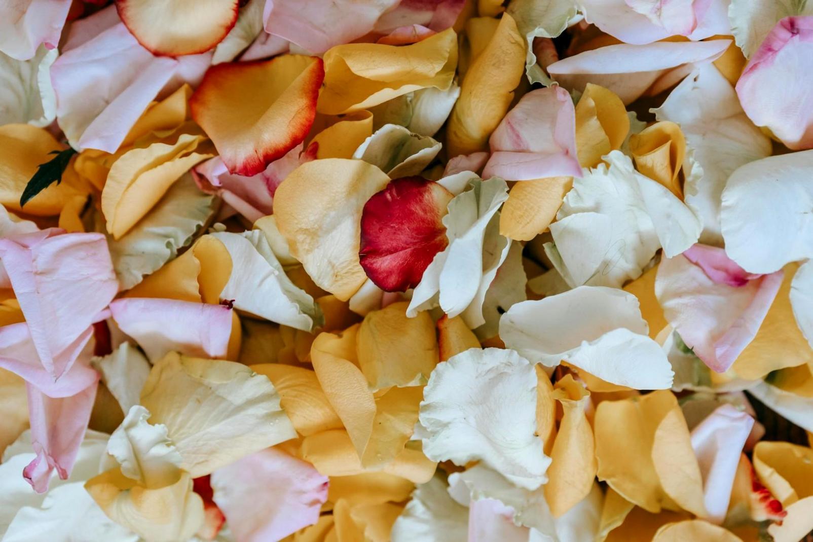 Research workspace with documentation and collaborative planning materials